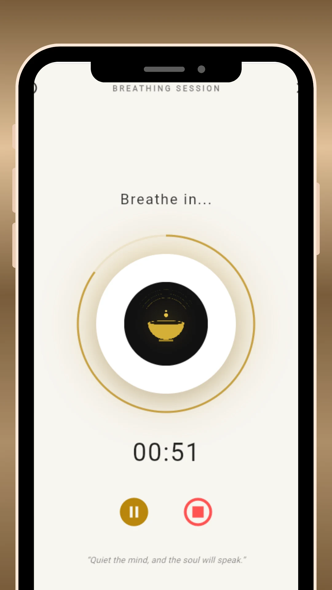 Mindfulness Bell: Zen & Focus screenshot