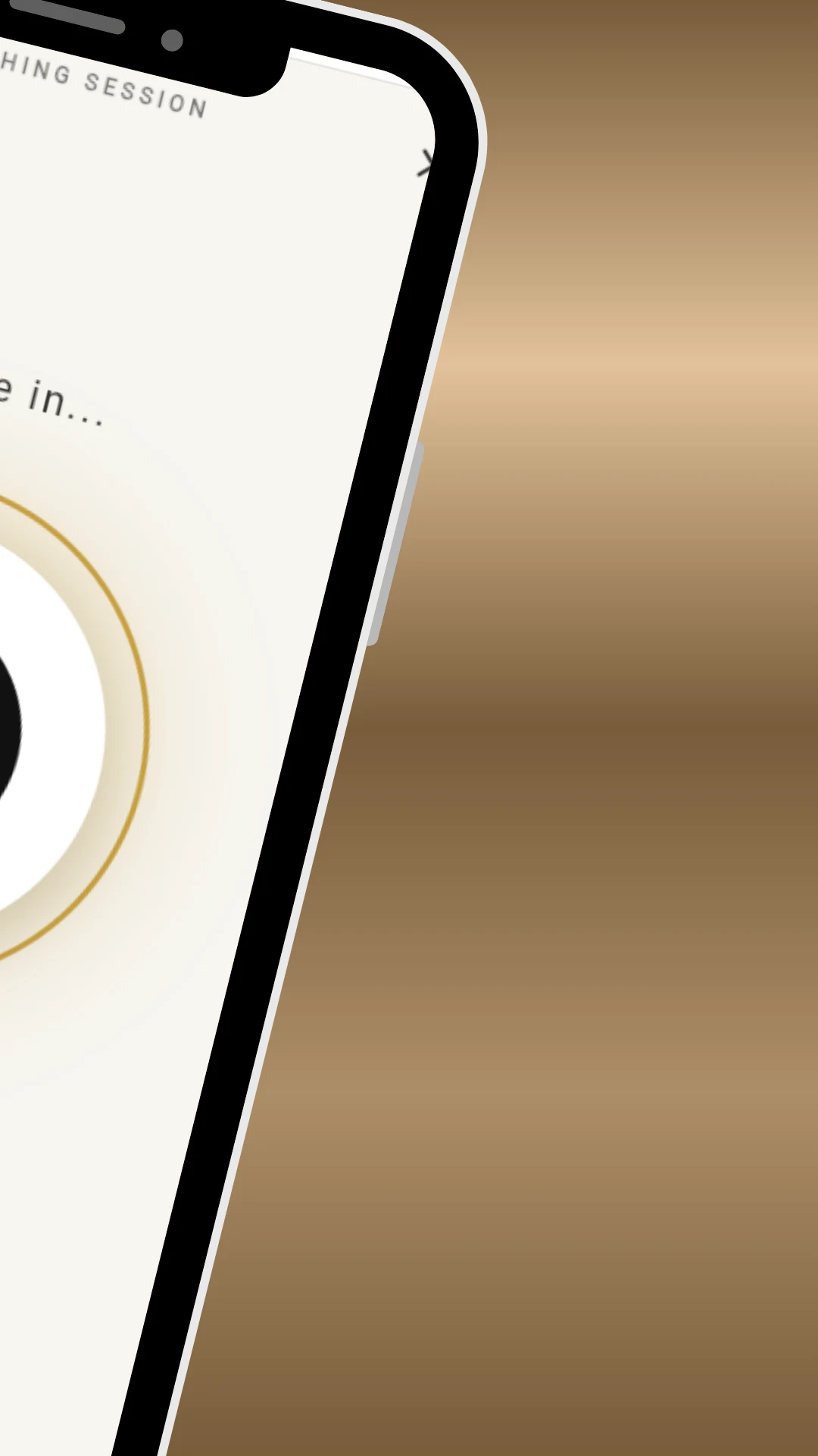 Mindfulness Bell: Zen & Focus screenshot