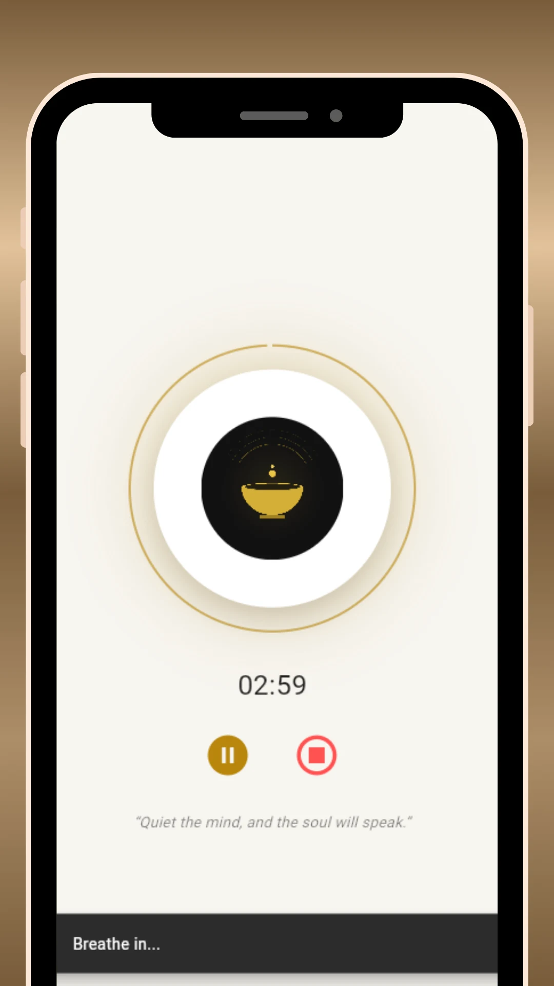 Mindfulness Bell: Zen & Focus screenshot