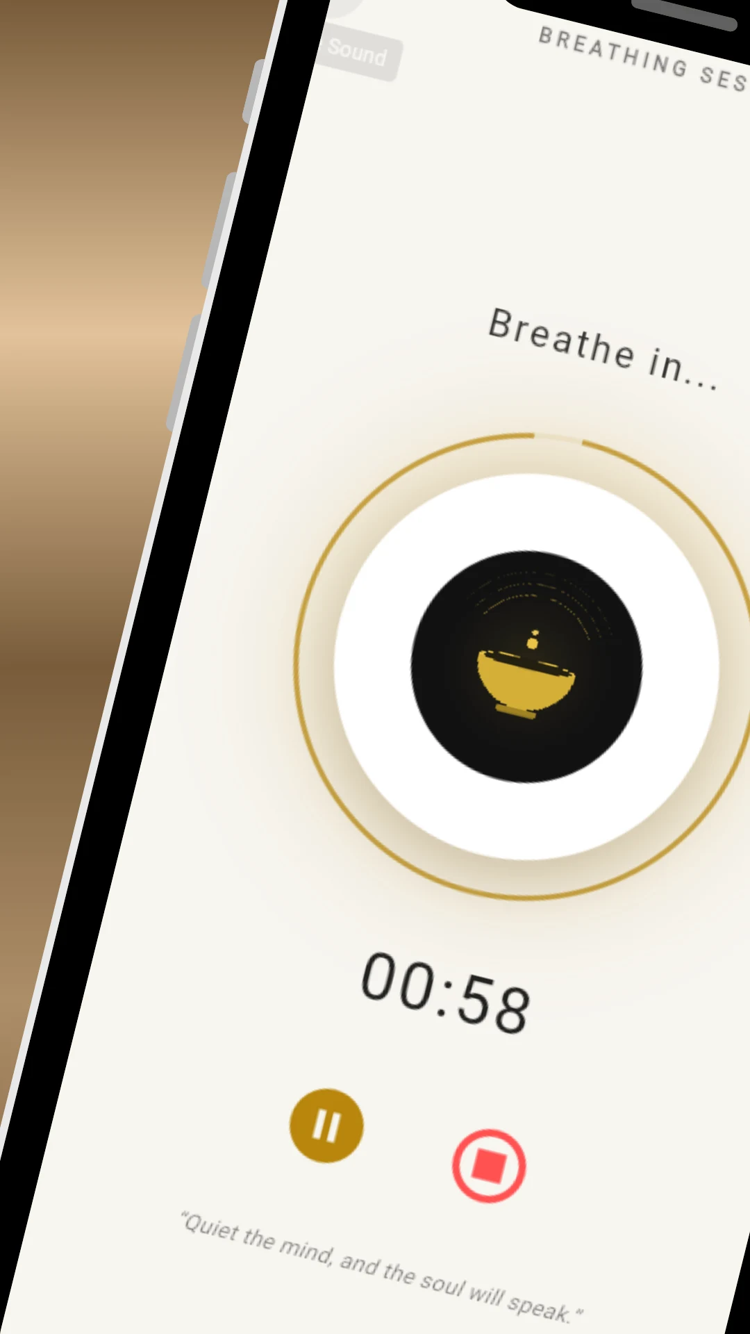 Mindfulness Bell: Zen & Focus screenshot